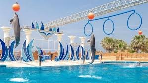 Alanya Yunus Gösterisi Turu